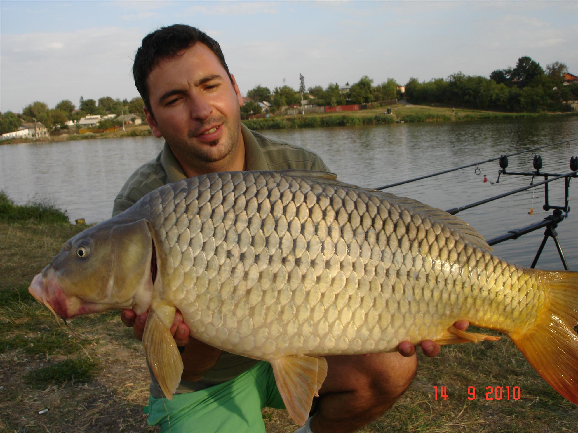 Capturi - dsc00875.JPG